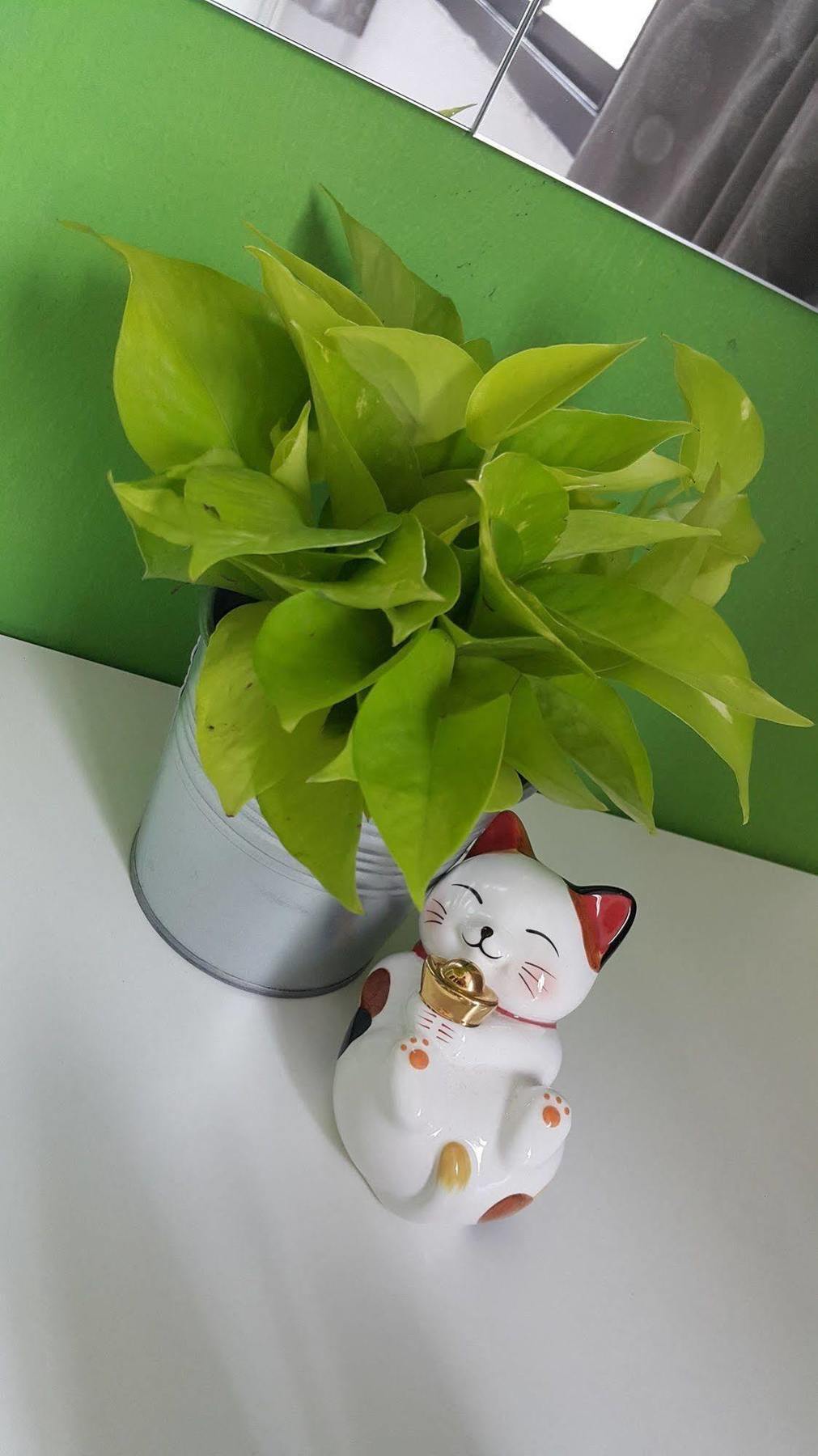 De Talak Hostel Bangkok Dış mekan fotoğraf